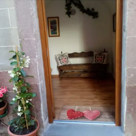 Serena's House